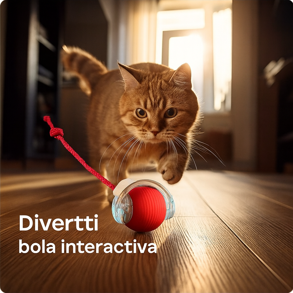Divertti® – Bola Interactiva 2 x 62.000